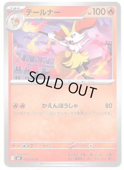 画像1: テールナー