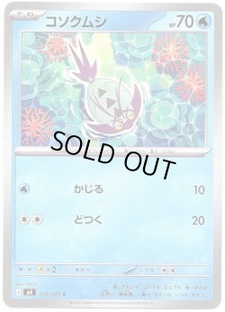 画像1: コソクムシ