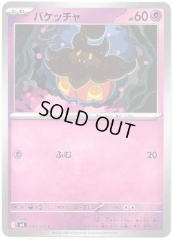 画像1: バケッチャ