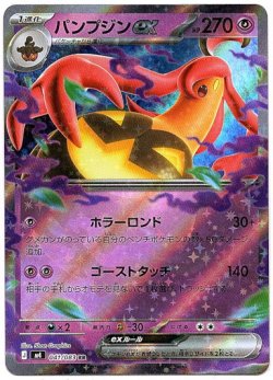 画像1: パンプジンex