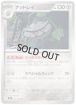 画像1: ナットレイ