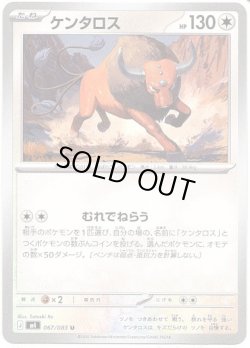 画像1: ケンタロス