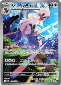 画像1: ※傷有り品（返品交換対象外）【AR】シルヴァディ