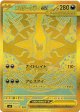 ※傷有り品（返品交換対象外）【MUR】メガダークライex
