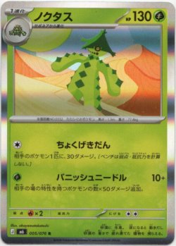 画像1: ノクタス