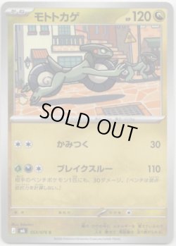 画像1: モトトカゲ