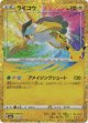 ※傷有り品（返品交換対象外）ライコウ