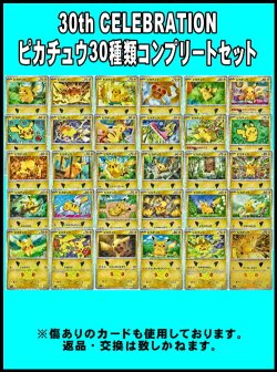 画像1: （返品交換対象外）30th CELEBRATION ピカチュウ30種類コンプリートセット