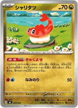 画像1: シャリタツ