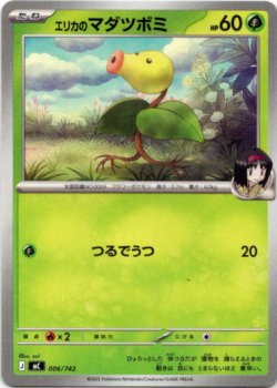 画像1: エリカのマダツボミ