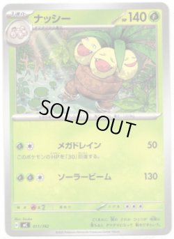 画像1: ナッシー