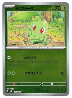 画像1: 【ミラー】チコリータ