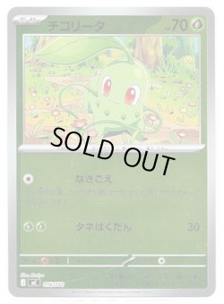 画像1: 【ミラー】チコリータ