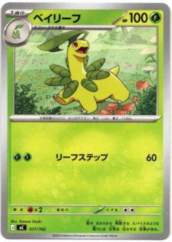 画像1: ベイリーフ