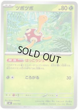 画像1: ツボツボ