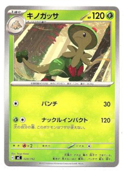 画像1: キノガッサ