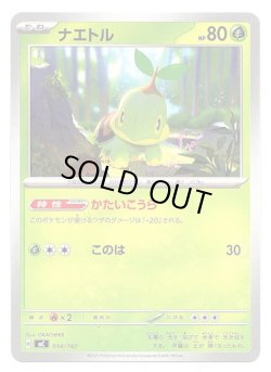 画像1: ナエトル