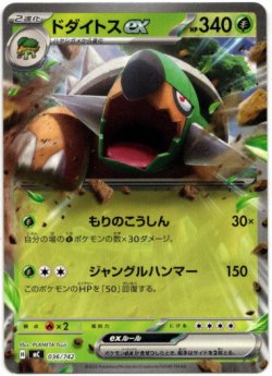 画像1: ドダイトスex