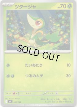 画像1: ツタージャ