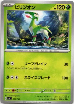 画像1: ビリジオン