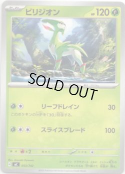 画像1: ビリジオン