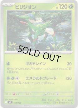 画像1: ビリジオン