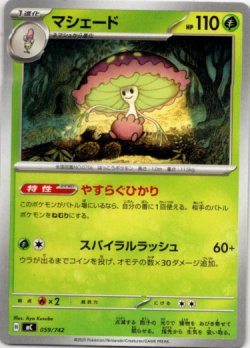 画像1: マシェード