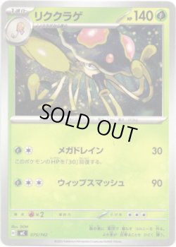 画像1: リククラゲ