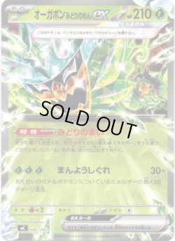 画像1: オーガポン みどりのめんex