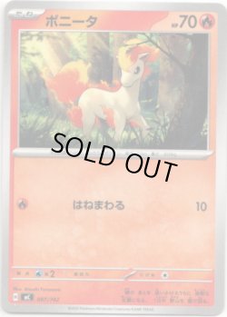 画像1: ポニータ