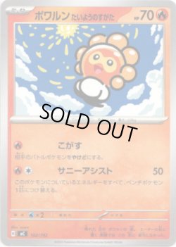 画像1: ポワルン たいようのすがた