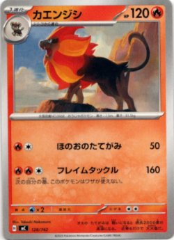 画像1: カエンジシ