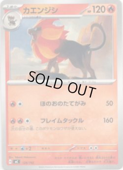 画像1: カエンジシ