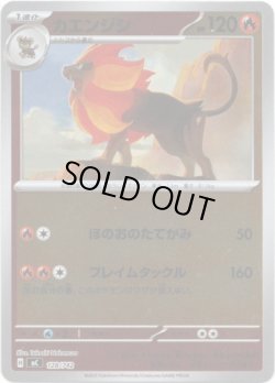 画像1: 【ミラー】カエンジシ