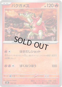 画像1: バクガメス