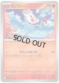 画像1: ヒバニー