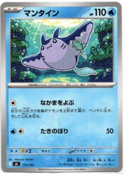 画像1: マンタイン