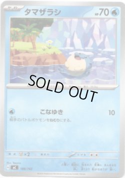 画像1: タマザラシ