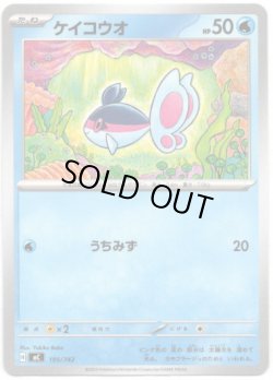 画像1: ケイコウオ