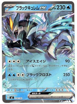 画像1: ブラックキュレムex