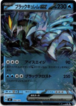 画像1: 【ミラー】ブラックキュレムex