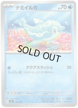 画像1: ナミイルカ