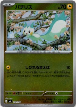 画像1: 【ミラー】パチリス