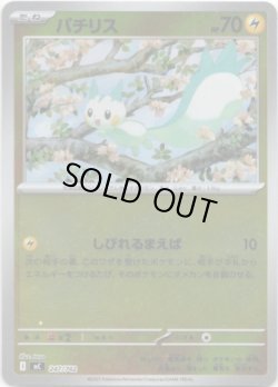 画像1: 【ミラー】パチリス