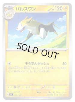 画像1: パルスワン