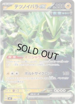 画像1: テツノイバラex