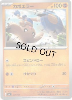 画像1: カポエラー