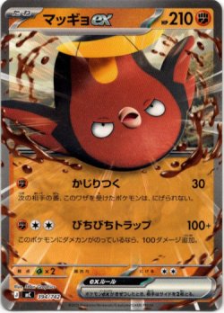 画像1: マッギョex