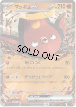 画像1: マッギョex