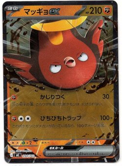 画像1: 【ミラー】マッギョex